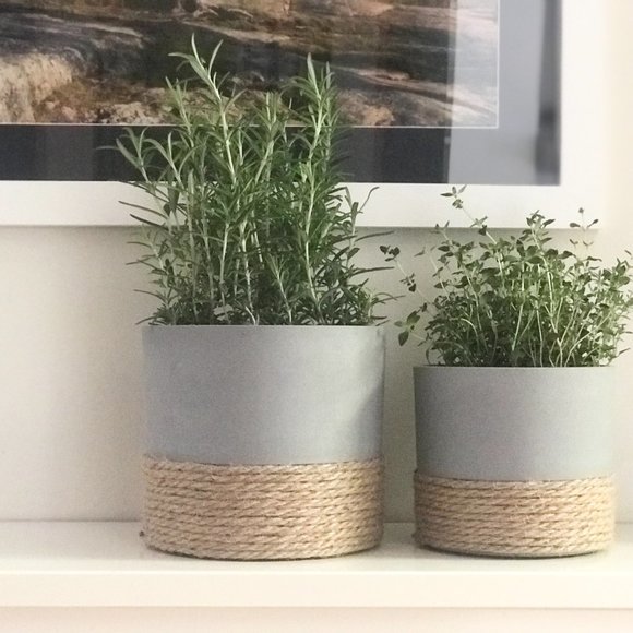 Flower Pot - Picture 4 of 5